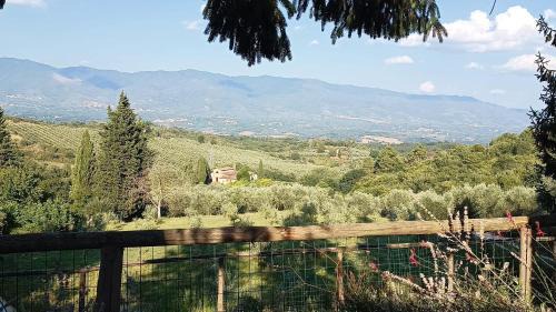 Figline e Incisa Valdarno Bed & Breakfast | La Funambola BB
