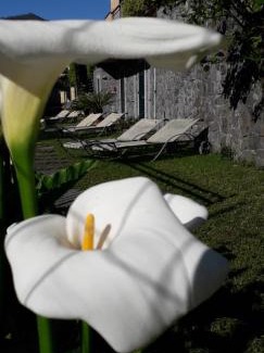 Levanto House | La Gerbera