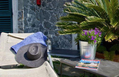 Levanto House | La Gerbera