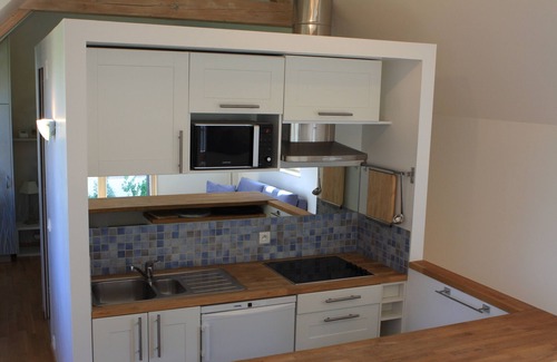 Colmar Centre Ville Cottage | La Grange-Gîte-City-Ensuite with Bath-River view