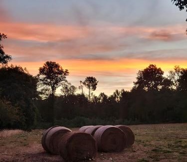 Mazeres Bed & Breakfast | La Hulotte de Labarthe