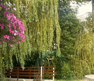 Voila House | La Izvoare Pensiune-Păstrăvărie