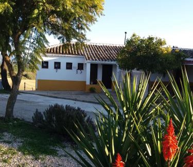Prado del Rey House | La Jaima
