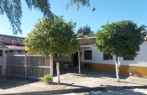 Prado del Rey House | La Jaima