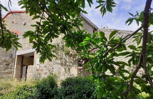 Solana de Avila House | La Laguna