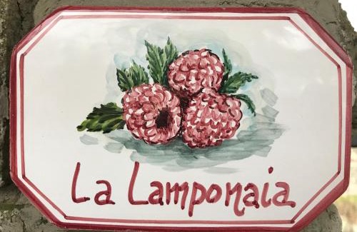 Piancastagnaio Apartment | La Lamponaia