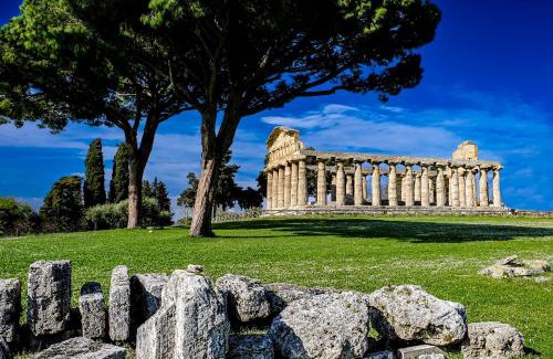 Laura House | La Laura di Paestum - case vacanze