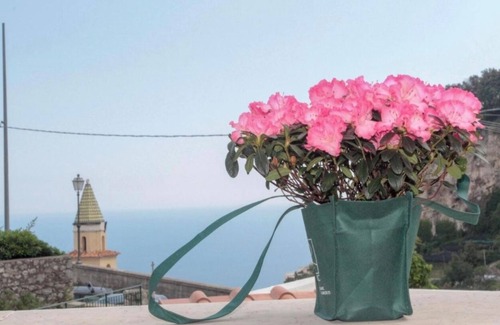 Pogerola Apartment | LA LUCCIOLA, immersed in the celestial sea of Amalfi, we await you in paradise