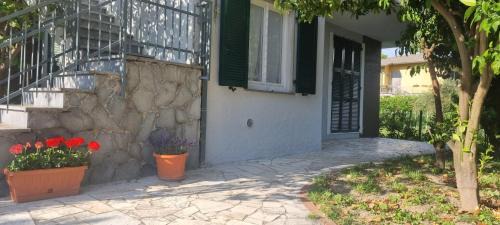 Ameglia House | La Magnolia