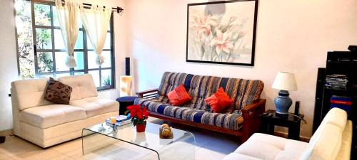 Alfredo V. Bonfil House | La Maison BLEUE