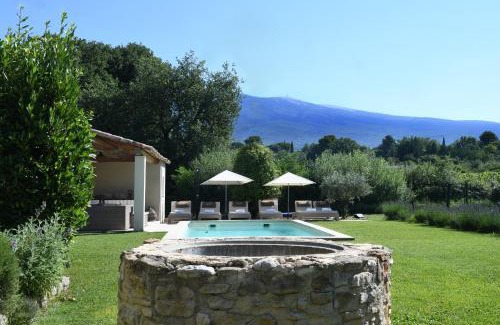 Bedoin Bed & Breakfast | La Maison De Bécaras