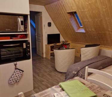 Mont-Dore Apartment | la maison des fleurs studio