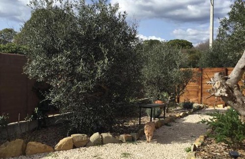 Sollies Pont House | La maison des oliviers