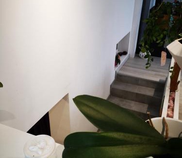 Herrlisheim-pres-Colmar Bed & Breakfast | La Maison D'ayona