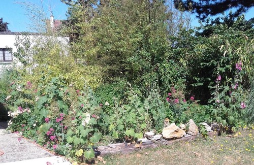 Saint-Aubin-Les-Elbeuf House | La maisonnette du Jardin Fleuri