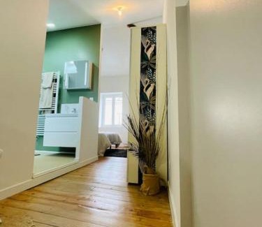 Nord - Gare Apartment | La Mancelle - 5 min de la gare - 2 Voyageurs - Wifi