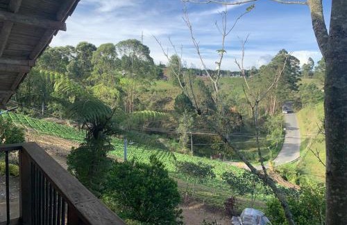 Rionegro Villa | La María Country Tradition