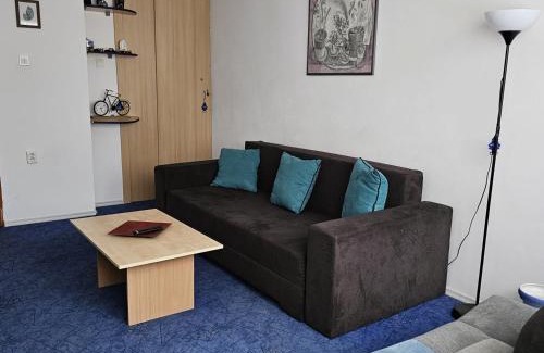 Azuga Apartment | La munte Azuga