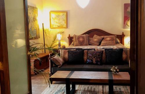 Zona Centro Apartment | La Pajarera prime location in San Miguel