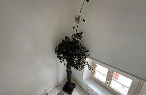 Chablis House | La parenthèse
