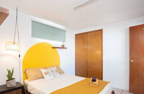 Lafayette House | La Paz & Love Hostel | Private Room l Pet Friendly