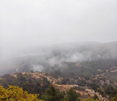 Vilanova de Prades Apartment | La PenAlta - Allotjament enoturístic - Vilanova de Prades