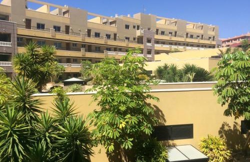 El Medano Apartment | La Perla Medano 1