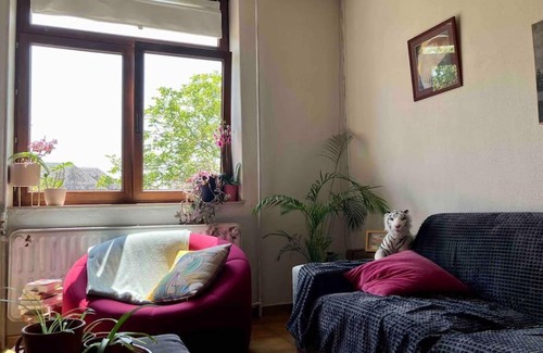Beez House | La petite maisonnette