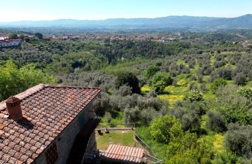 Reggello Villa | La Pietra Piana Villa panoramica con spa e piscina naturale vicino Firenze