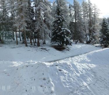 Bellentre Apartment | La Plagne Les Coches studio divisible ensoleillé