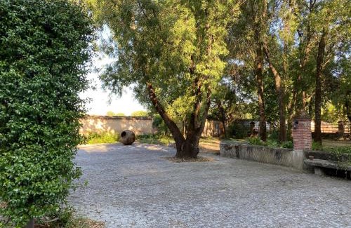 La Adrada House | La Resinera
