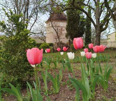 Cahuzac-sur-Vere Bed & Breakfast | La Reverdie