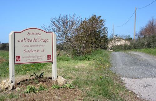 Bibbona House | La Ripa Del Drago
