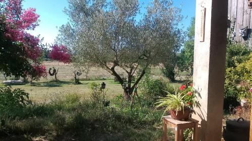 Damazan Bed & Breakfast | La rivière