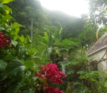 Saint-Louis House | La rose des Bois