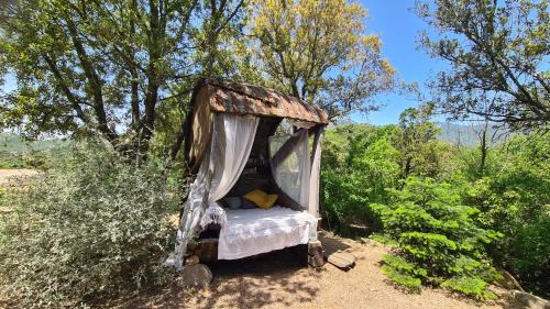 Carbuccia Cabin | La roulotte au coeur du maquis