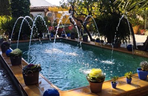 Rute House | La Ruteña