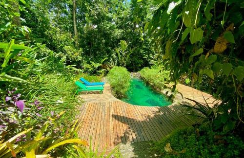 Cahuita Cabin | La Shamana - Ecological Concept in Jungle