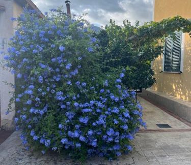 Caprioli House | La Strettoia
