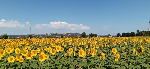 Pozzo Bed & Breakfast | La Superba Ca' Zeneize