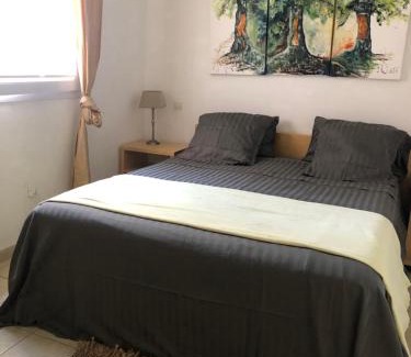 Port-Vendres Apartment | La Terrasse
