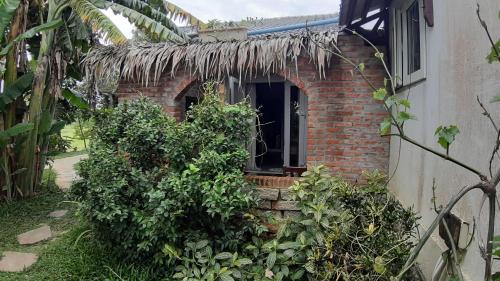 Hoi An Bed & Breakfast | La Terrazza
