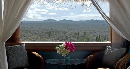 Vinorama Bed & Breakfast | La Valise Los Cabos