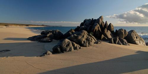Vinorama Bed & Breakfast | La Valise Los Cabos