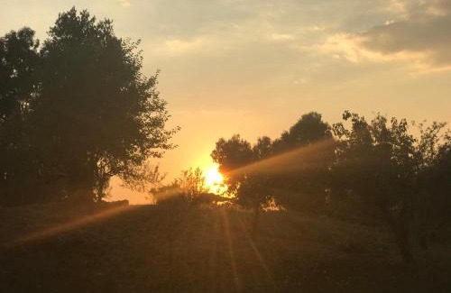 Zona XXI Torricola House | La villetta dei sogni nel Parco