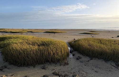 Barbatre House | La voile blanche, a stopover with your feet in the water