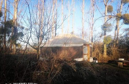 Xhoris Other | La yourte au fonds du jardin