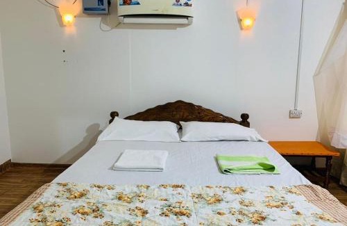 Palolem Hotel | Lacto Cressida Huts