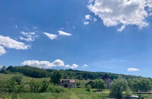 Podoleni House | Lacul de Argint