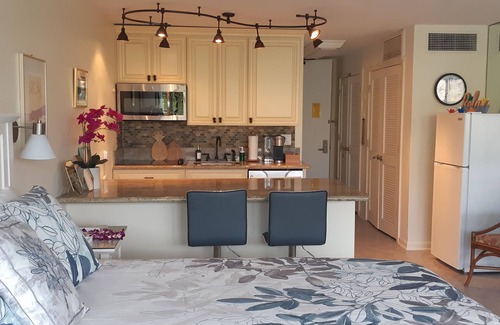 Historic Lahaina Front Street Apartment | Lahaina Shores 406 Beach Front Mountain View